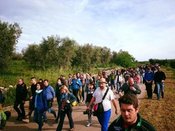 13015311_10154778104275968_702853726641464098_n